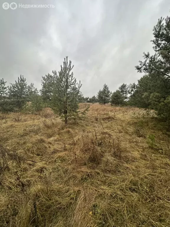 Участок в деревня Яковлево, 5-я улица Саввинские Берега (15 м) - Фото 1