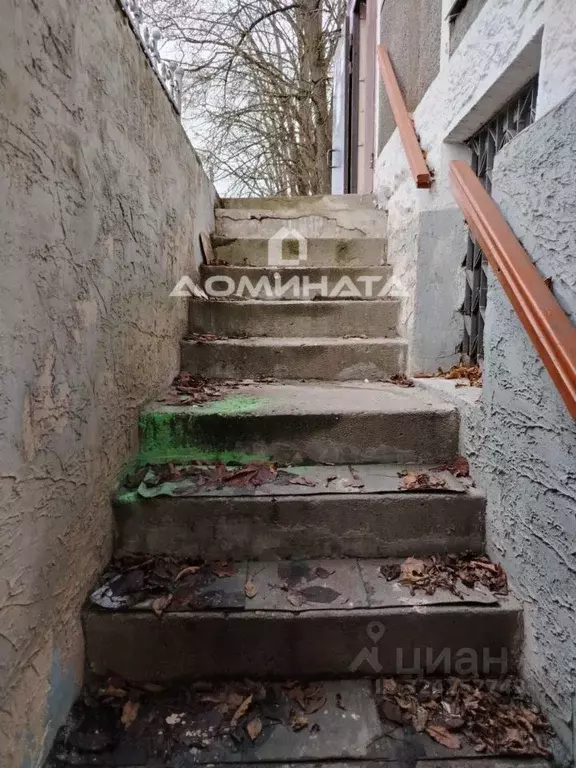 Торговая площадь в Ленинградская область, Луга просп. Кирова, 50 (178 ... - Фото 2