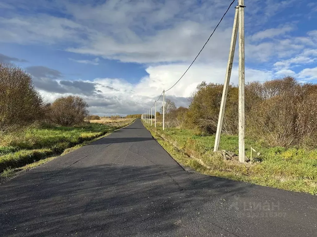 Участок в Ленинградская область, Всеволожский район, Романовское ... - Фото 1