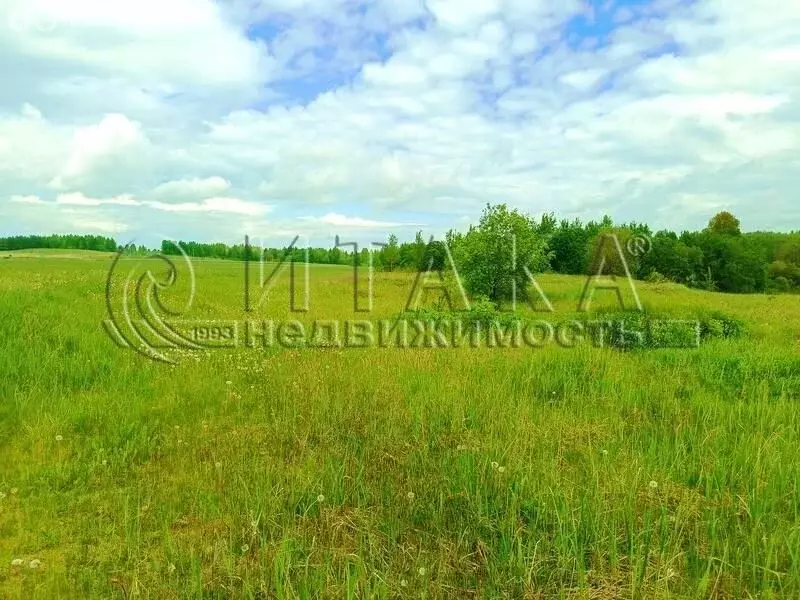 Участок в деревня Родина, улица Дружбы (30 м) - Фото 1