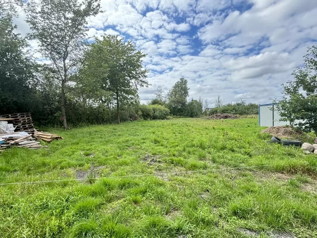 Участок в Калининградская область, Гурьевский муниципальный округ, ... - Фото 2