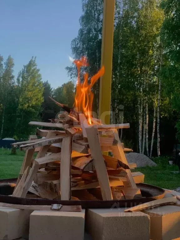Дом в Псковская область, Псковский район, Карамышевская волость, ... - Фото 1