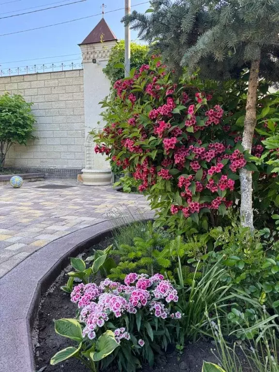 Дом в Ставропольский край, Ставрополь Механизатор-2 садовое ... - Фото 0