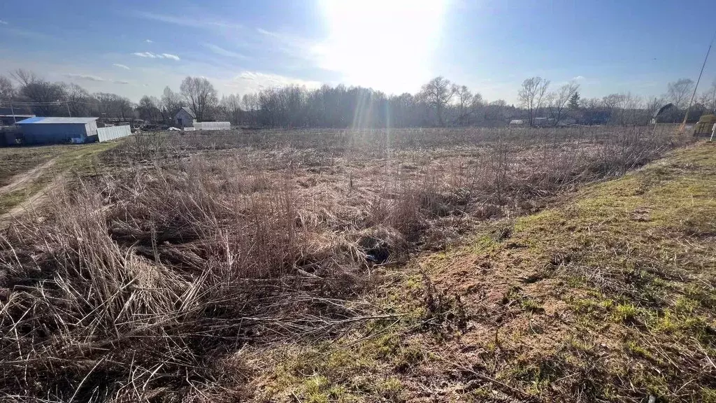 Участок в Калужская область, Козельский район, Подборки с/пос, с. ... - Фото 2