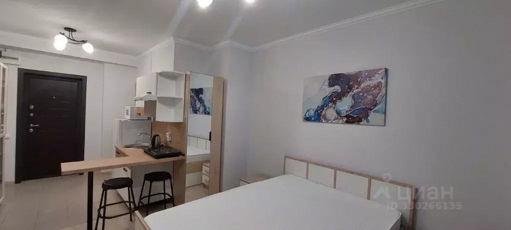 Студия Московская область, Балашиха Кучино мкр, ул. Речная, 5 (25.0 м) - Фото 2