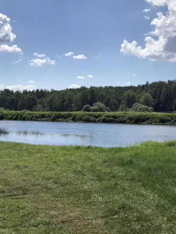 Дом в Ленинградская область, Лужский район, Толмачевское городское ... - Фото 0