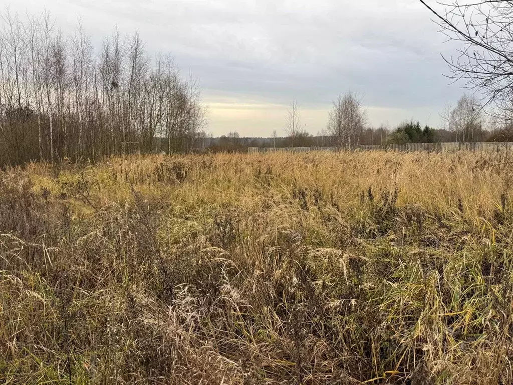 Участок в Московская область, Богородский городской округ, с. Стромынь ... - Фото 2