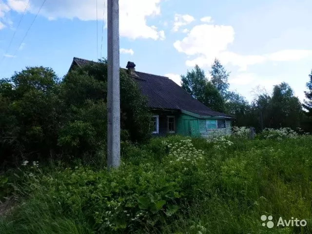 Авито недвижимость вологодская белозерск. Артюшино Белозерский район Вологодская область. Артюшино Белозерского района Вологодской области. Деревня Артюшино Белозерский район. Артюшино Белозерский район школа.