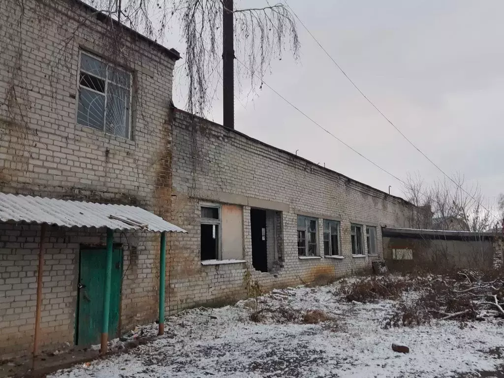 Помещение свободного назначения в Ульяновская область, Сурское рп ул. ... - Фото 1