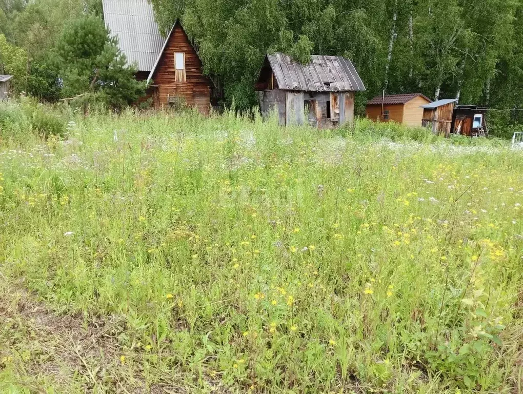 Дом в Новосибирская область, Новосибирский район, Раздольненский ... - Фото 1