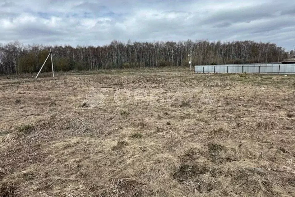 Участок в Тюменская область, Тюмень Энергостроитель СНТ, ул. Рябинушка ... - Фото 0