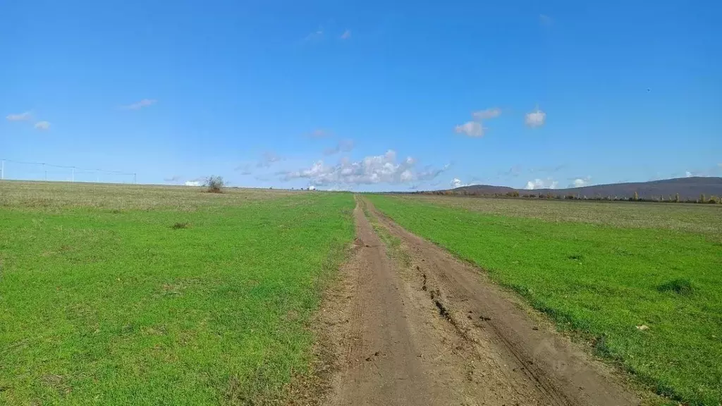 Участок в Краснодарский край, Новороссийск городской округ, ... - Фото 1