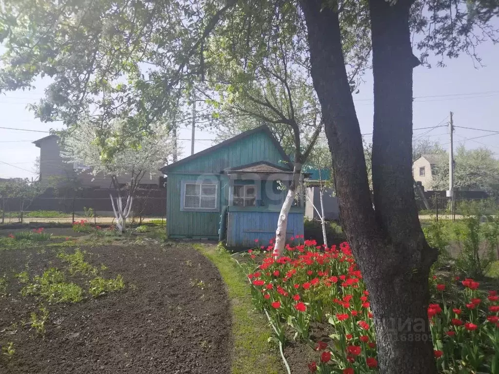 Участок в Липецкая область, Липецк Ветеран труда СНТ, ул. Раздельная, ... - Фото 1