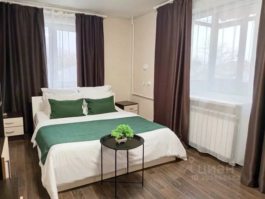 1-к кв. Сахалинская область, Южно-Сахалинск ул. Ленина, 293А (30.0 м) - Фото 1