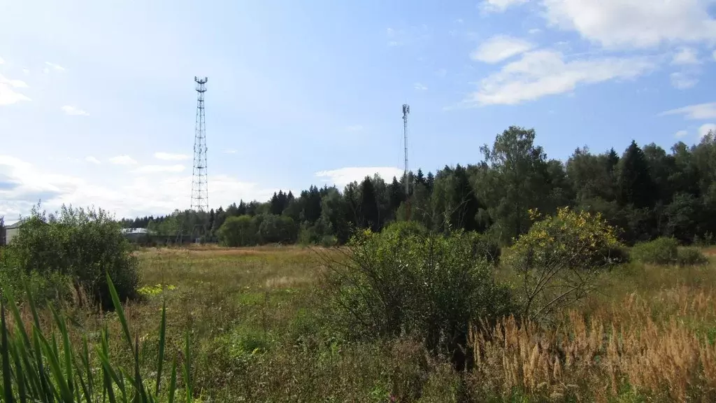 Участок в Московская область, Рузский муниципальный округ, д. Барынино ... - Фото 2