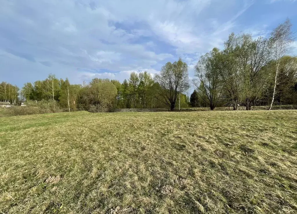 Участок в Смоленская область М-1 Беларусь, 190-й км (1.0 га.) - Фото 1