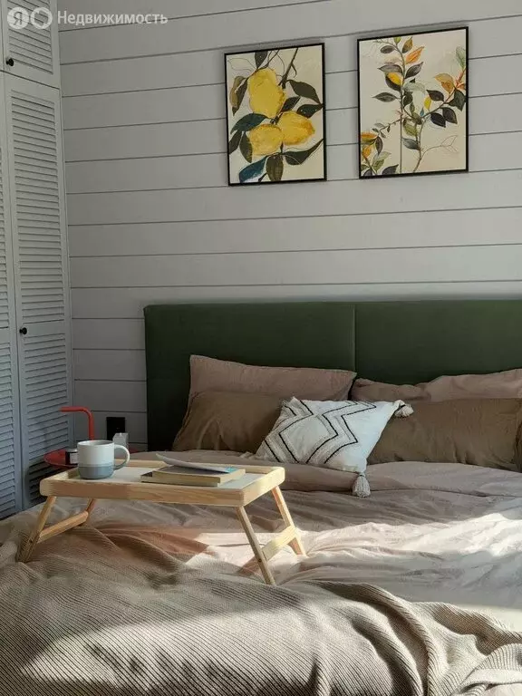 Участок в Куйвозовское сельское поселение (9 м) - Фото 2