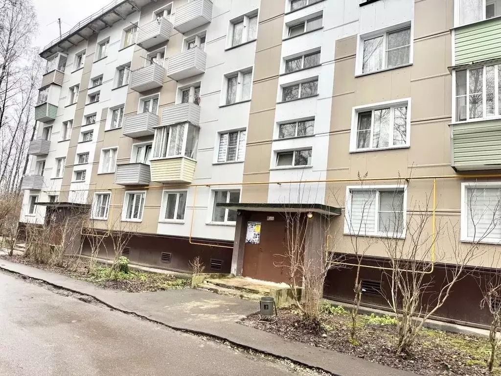 1-к кв. Московская область, Богородский городской округ, с. Стромынь, ... - Фото 1