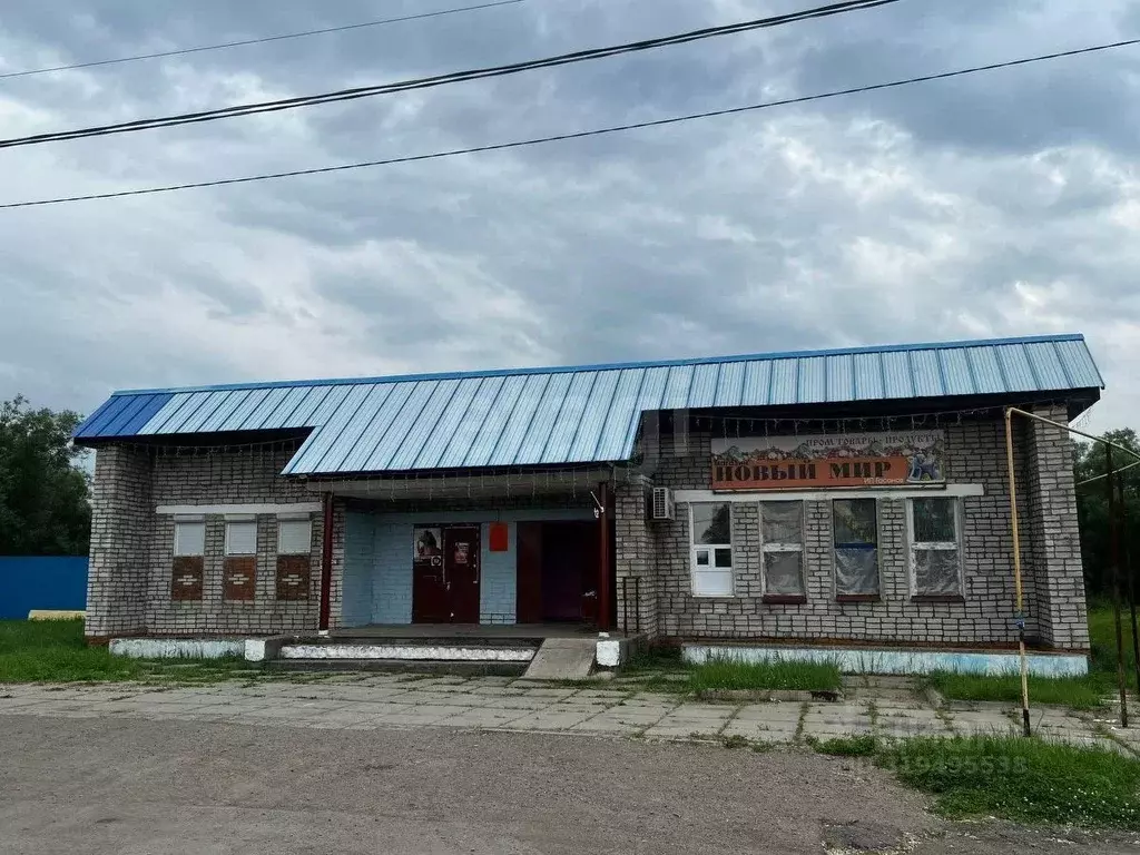 Участок в Хабаровский край, Комсомольский район, с. Новый Мир ... - Фото 1