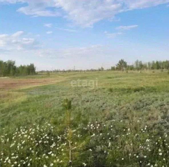 Участок в Саха (Якутия), Якутск Марха мкр, ул. Мелиораторов (9.43 ... - Фото 1