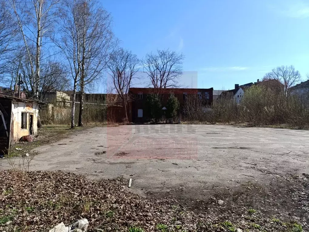 Помещение свободного назначения в Калининградская область, Черняховск ... - Фото 2
