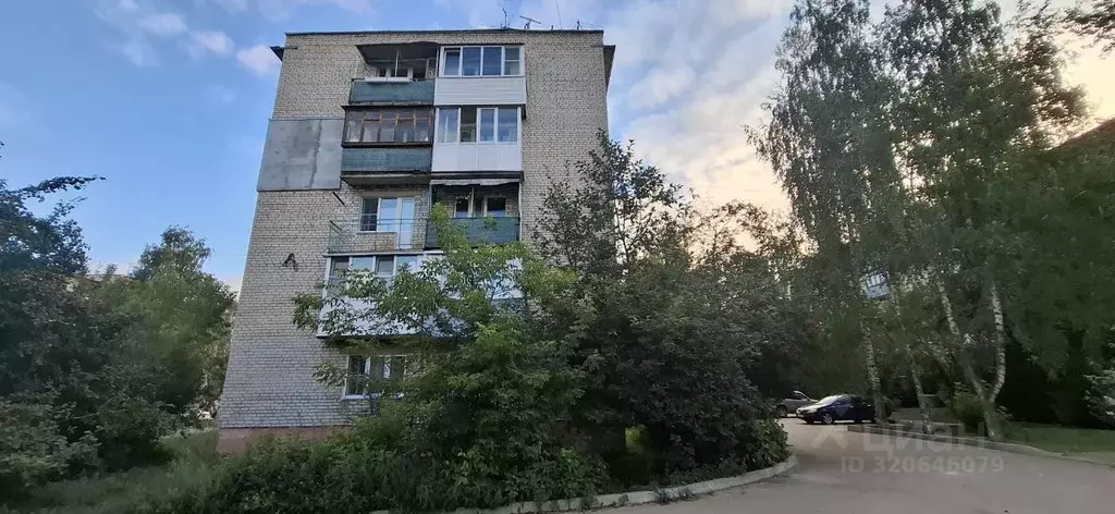 3-к кв. Нижегородская область, Бор 2-й мкр, ул. 2-й Микрорайон, 12 ... - Фото 1