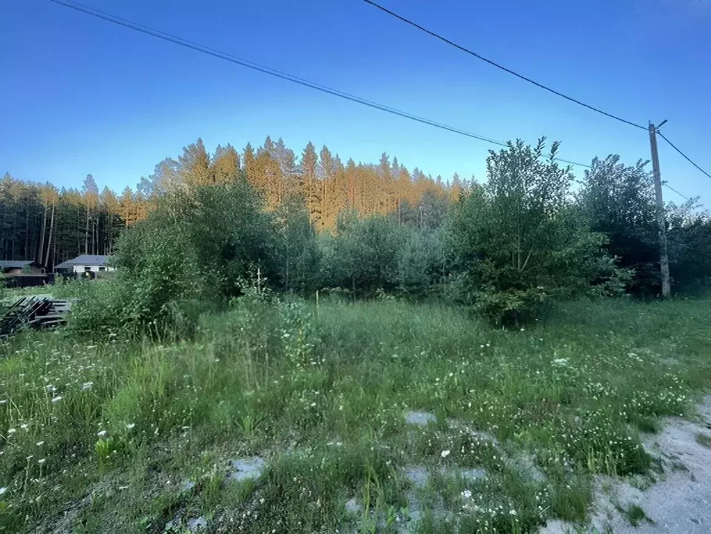 Участок в Свердловская область, Сысертский муниципальный округ, ... - Фото 1