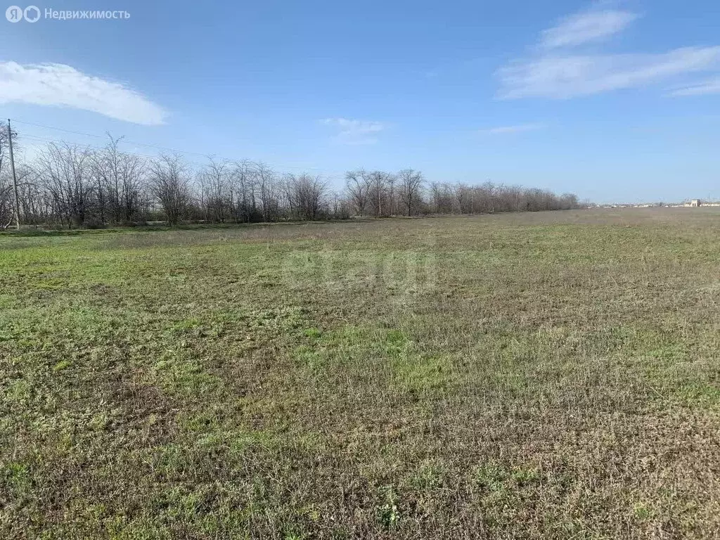 Участок в Колодезянское сельское поселение, село Докучаево (138.43 м) - Фото 2