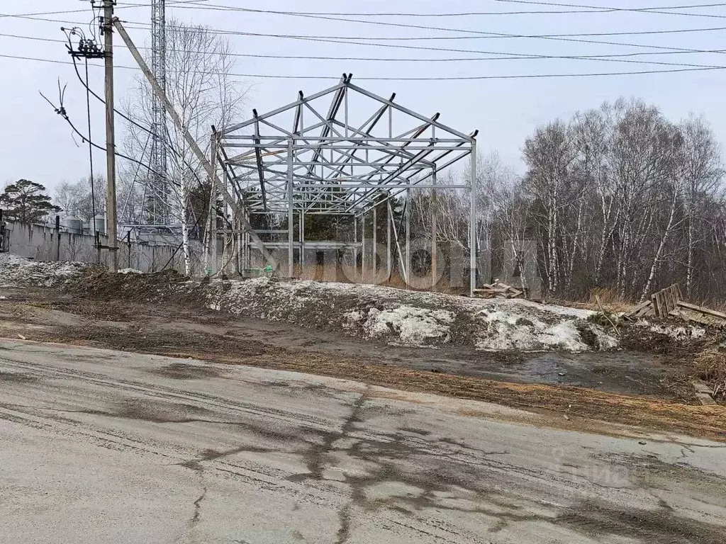Участок в Новосибирская область, Новосибирский район, с. Барышево ... - Фото 0