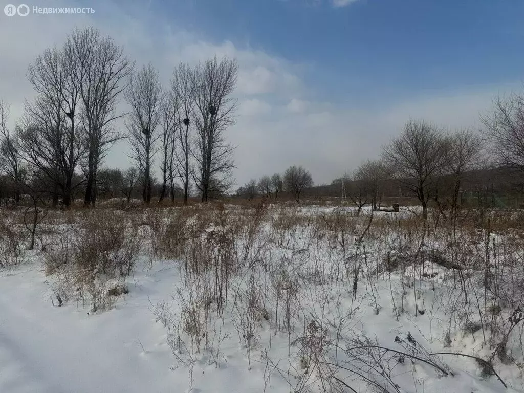 Участок в Уссурийский городской округ, село Глуховка, Московская ... - Фото 1