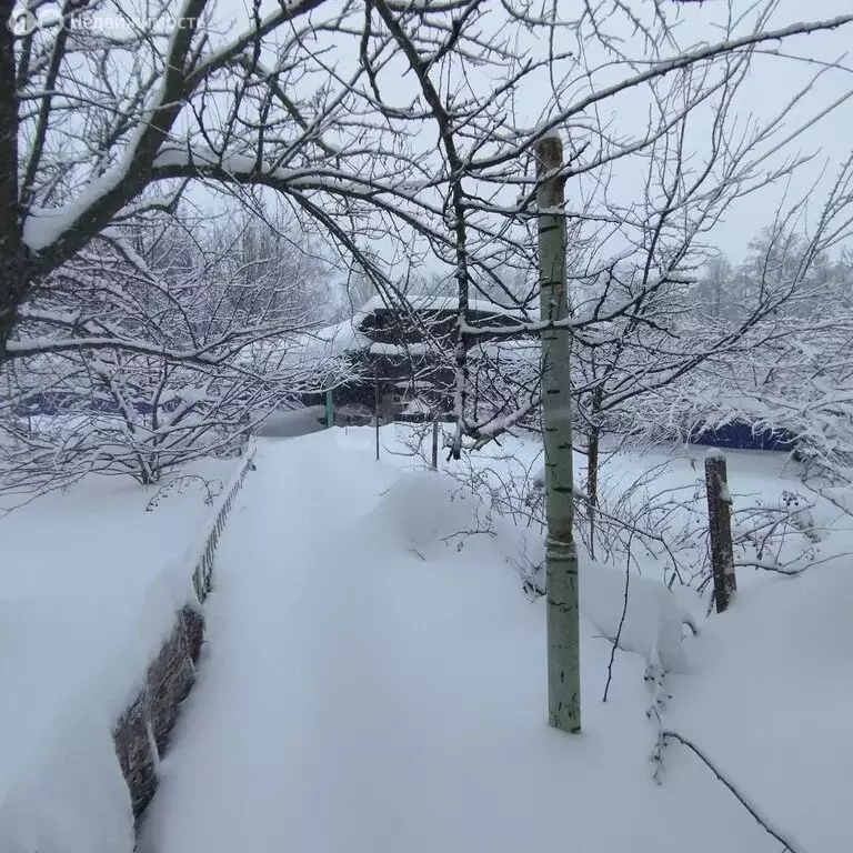 3-комнатная квартира: Мичуринск, улица Чкалова, 6 (56.3 м) - Фото 2