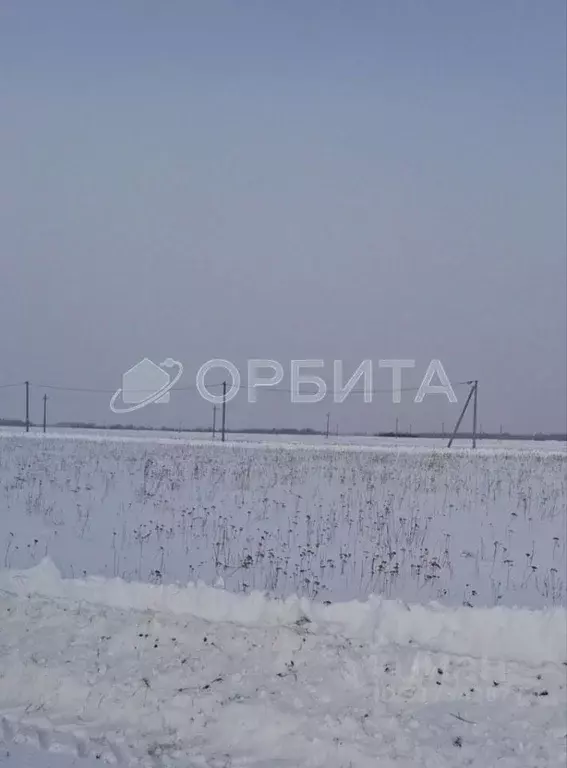 Участок в Тюменская область, Тюменский район, д. Марай  (9.0 сот.) - Фото 1
