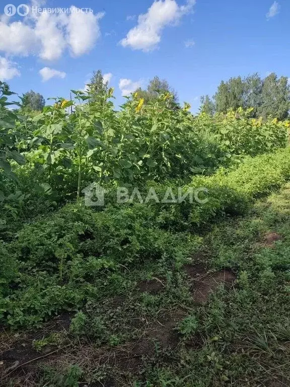 Участок в Турбанка, Нагорная улица (19.36 м) - Фото 1