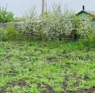 Участок в Новосибирская область, Новосибирский район, с. Раздольное  ... - Фото 1