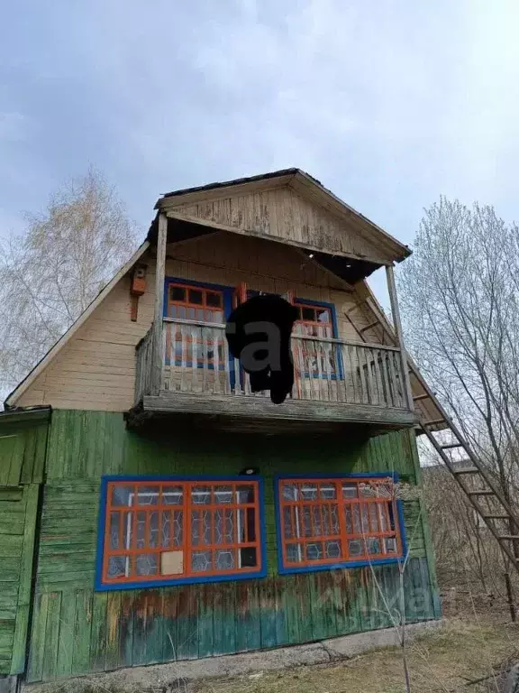 Дом в Новосибирская область, Коченевский район, Березка СНТ ул. ... - Фото 1