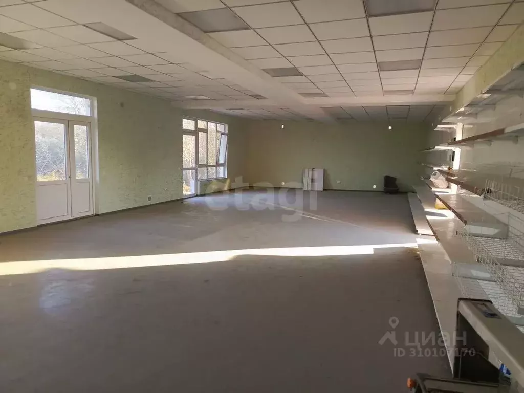 Торговая площадь в Крым, Сакский район, Ореховское с/пос, с. Червоное ... - Фото 1