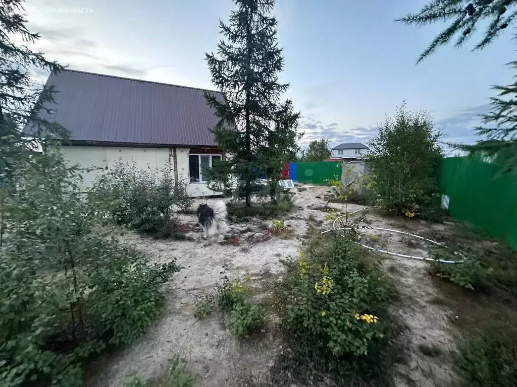 Дом в Новый Уренгой, ДК Простоквашино, 1-я Берёзовая улица (83 м) - Фото 1