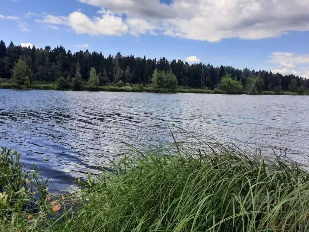 Участок в Московская область, Сергиево-Посадский городской округ, ... - Фото 0