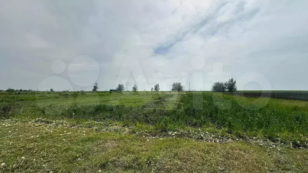 Дача 29,6 м на участке 31 сот. - Фото 0