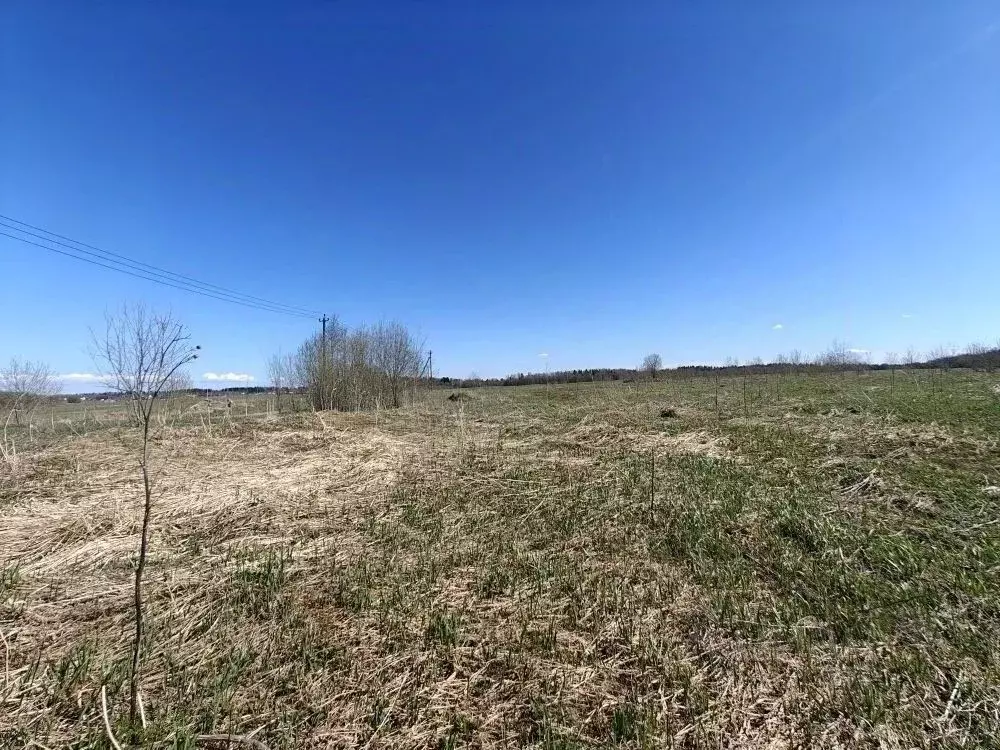 Участок в Ленинградская область, Ломоносовский район, Лопухинское ... - Фото 2