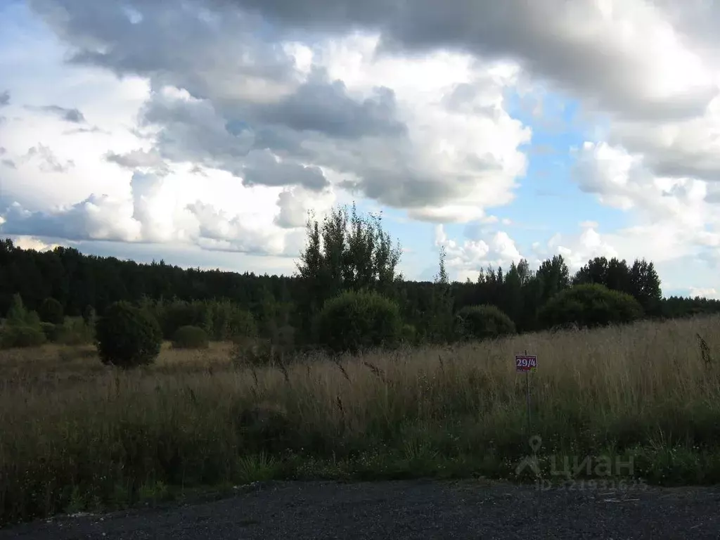 Участок в Ленинградская область, Ломоносовский район, Гостилицкое ... - Фото 1