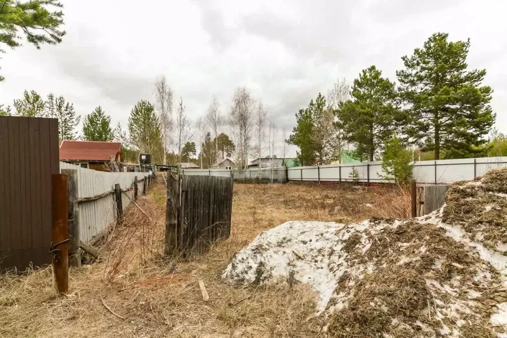 Участок в Ханты-Мансийский АО, Сургут Ручеек садовое товарищество, ул. ... - Фото 0