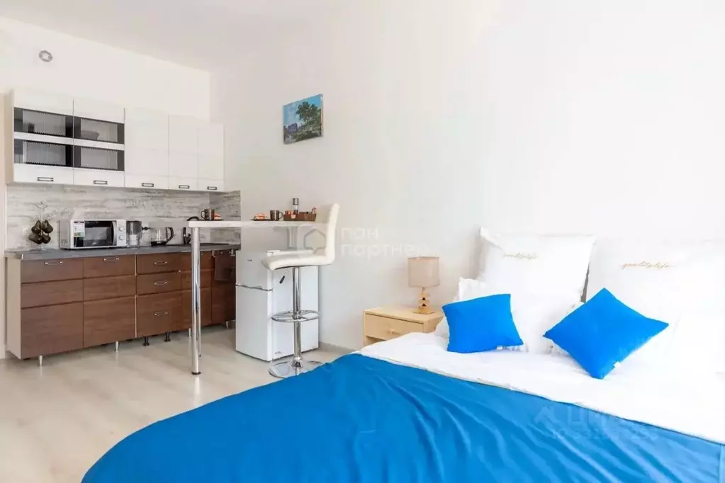 Студия Санкт-Петербург ул. Орбитальная, 5 (23.6 м) - Фото 1