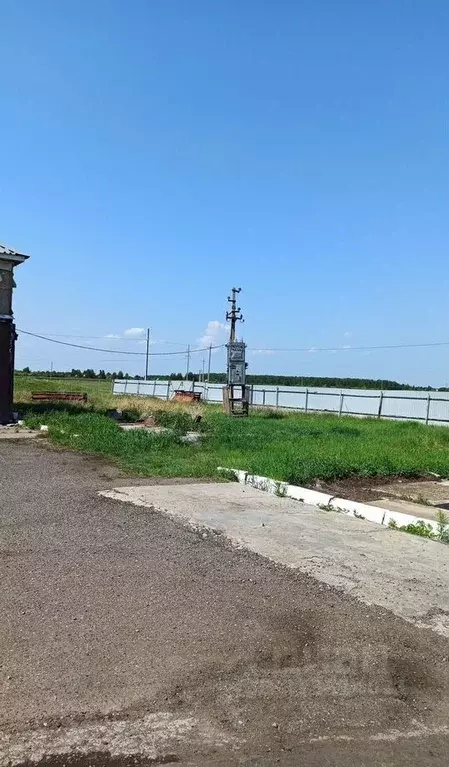 Помещение свободного назначения в Омская область, Омский район, с. ... - Фото 1