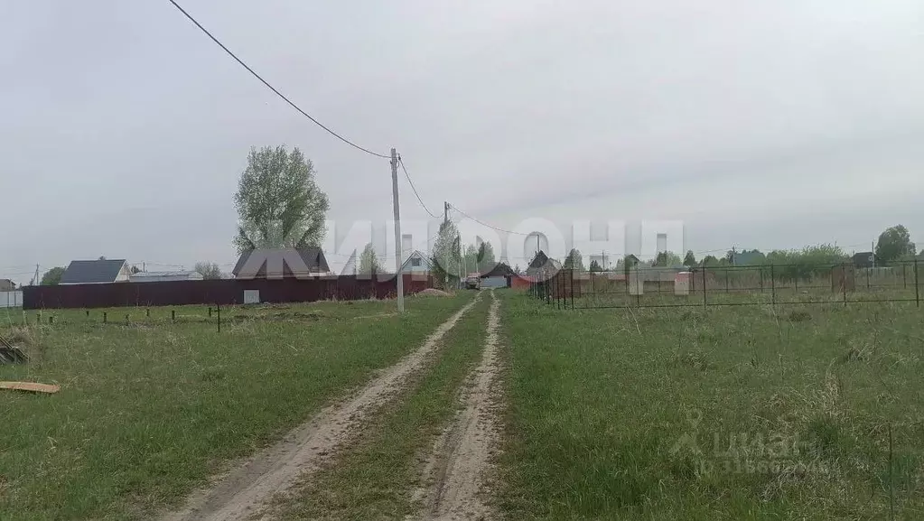 Участок в Новосибирская область, Коченевский район, Озерки-1 СНТ  ... - Фото 0
