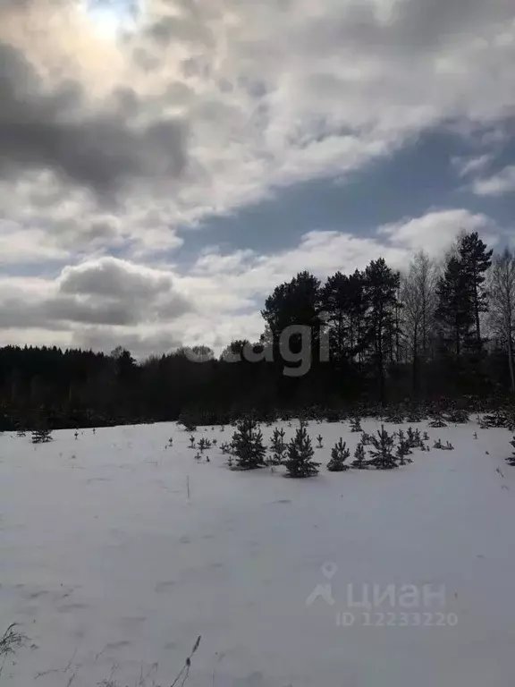 Участок в Свердловская область, Березовский городской округ, пос. ... - Фото 0