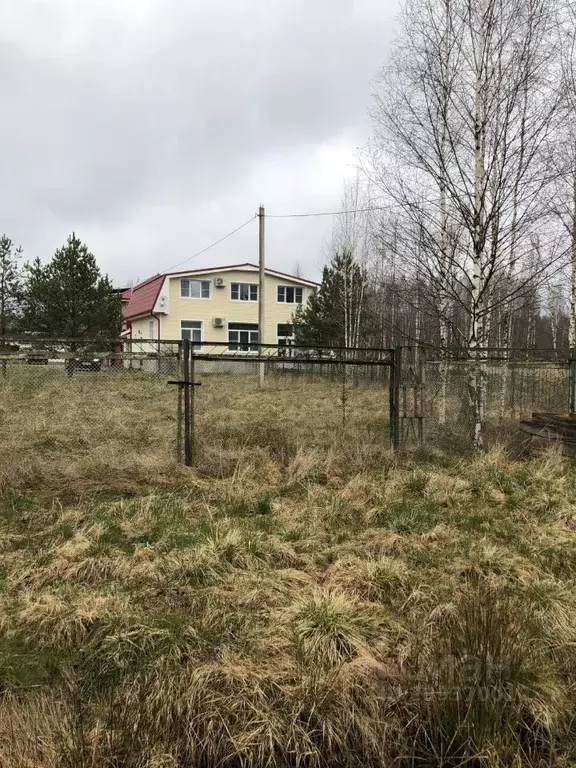 Участок в Новгородская область, Старорусский район, Медниковское ... - Фото 1