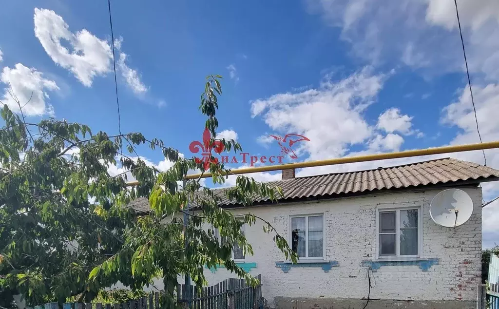 Дом в Белгородская область, Волоконовский район, с. Грушевка Тихая ул. ... - Фото 0