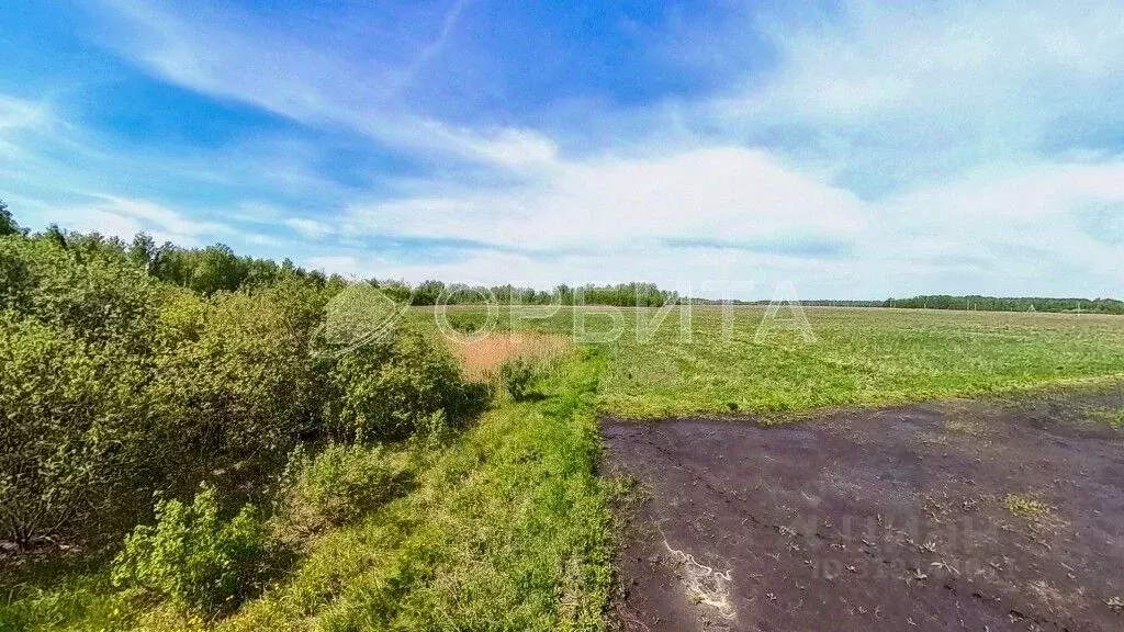Участок в Тюменская область, Тюменский район, с. Горьковка Сибирская ... - Фото 1