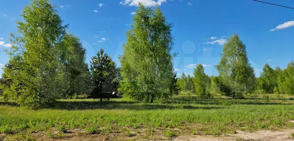 Участок 10 сот. (ИЖС) - Фото 0